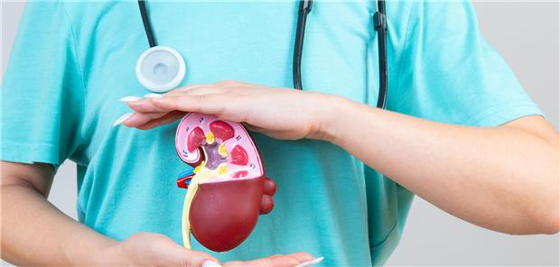 Kommt die renale Denervation zurück in die Praxis? Kommt die renale Denervation zurück in die Praxis?