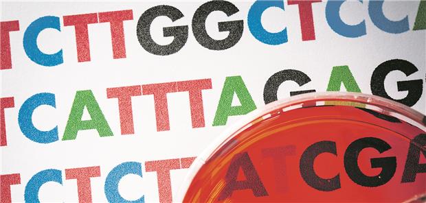 Clinician Scientists schlagen die Brücke zwischen Klinik und Forschung Genomics-Forschung kann zu einer personalisierten Medizin beitragen.