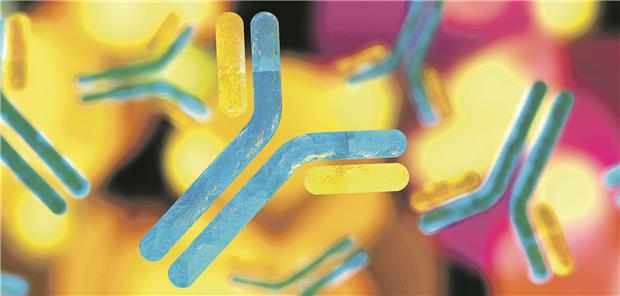 Faktor-XI- versus Faktor-Xa-Hemmer: Deutlich weniger Blutungen Hoffnungsträger für eine sicherere Antikoagulation:Inhibitoren von Faktor XI bzw. XIa ... ustas/stock.adobe.com