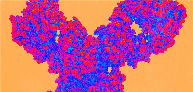 Immun-Checkpoint-Inhibitoren können eine Myokarditis auslösen. [M] molekuul.be/stock.adobe.com