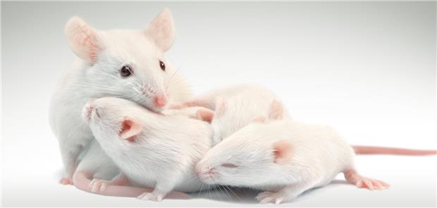 Forscherin in Laborumgebung tippt mit Stift auf ein Teilchenmodell.