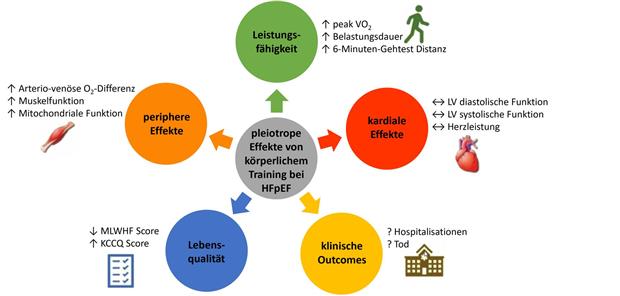 Trainingstherapie bei HFpEF Positive Wirkungender Trainingstherapie (Abb. 1)-- Pleiotrope Effekte von Trainingstherapie bei chronischer HFpEF.MLHF: Minnesota Living WithHeart Failure Questionnaire,KCCQ: Kansas City CardiomyopathyQuestionnairemit freundl. Genehmigung aus Sachdev V et al. Am Coll Cardiol. 2023;81:1524-42