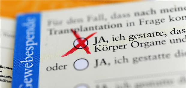 Zu sehen ist die Rückseite eines Organspendeausweises. Angekreuzt ist die Aussage: Ja, ich gestatte,dass meinem Körper Organe und Gewebe entnommen werden.