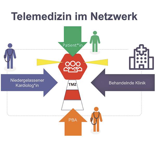 Konkurrenz oder Basis fürs Netzwerken? Telemedizin im Netzwerk, Abb. 1-- TMZ als Leuchtturm: Sie sind zentraler Bestandteil eines HI-Netzwerks und erleichtern die intersektorale Kommunikation.
