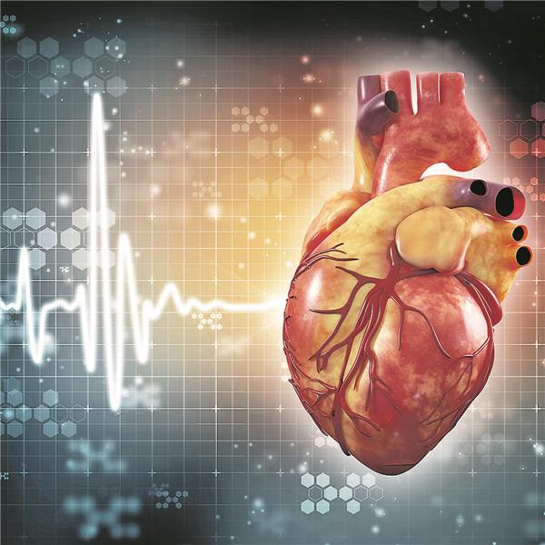 VF-Ablation bei terminaler Herzschwäche Weniger Herztransplantationen waren nach Ablation von Vorhofflimmern nötig. deepagopi2011/stock.adobe.com